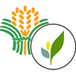 Bureau of Plant Industry
