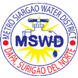 Metro Siargao Water District