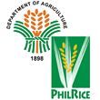 Philippine Rice Research Institute