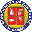Municipality of San Roque, Northern Samar, Region VIII